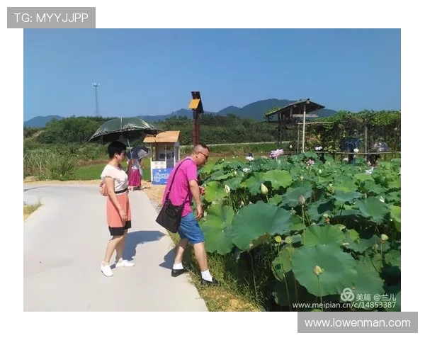 《美国之声》第四季：不只是歌唱，更是一场梦想与勇气的华丽蜕变